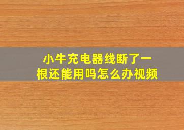 小牛充电器线断了一根还能用吗怎么办视频