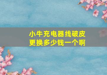 小牛充电器线破皮更换多少钱一个啊