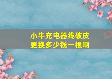 小牛充电器线破皮更换多少钱一根啊