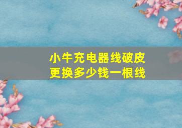 小牛充电器线破皮更换多少钱一根线