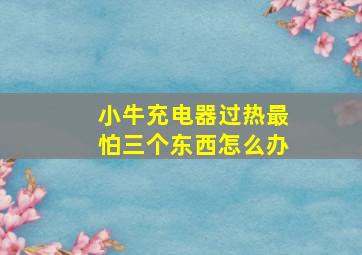 小牛充电器过热最怕三个东西怎么办