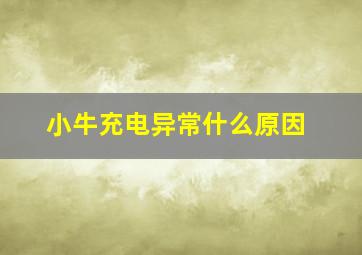 小牛充电异常什么原因