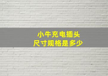 小牛充电插头尺寸规格是多少