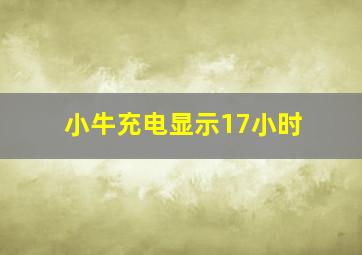 小牛充电显示17小时