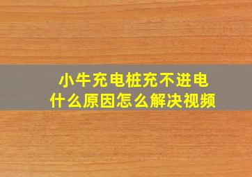 小牛充电桩充不进电什么原因怎么解决视频