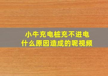 小牛充电桩充不进电什么原因造成的呢视频