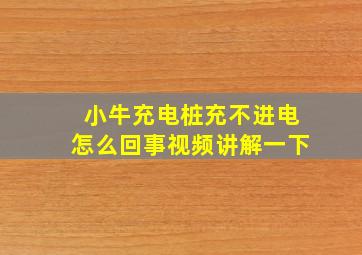 小牛充电桩充不进电怎么回事视频讲解一下