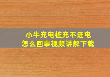 小牛充电桩充不进电怎么回事视频讲解下载