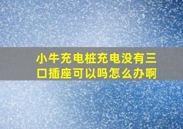 小牛充电桩充电没有三口插座可以吗怎么办啊