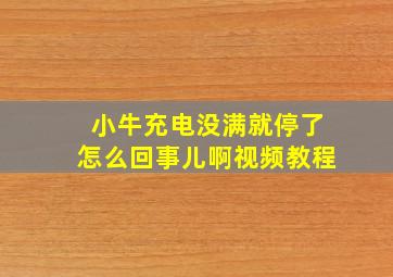 小牛充电没满就停了怎么回事儿啊视频教程