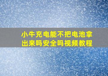 小牛充电能不把电池拿出来吗安全吗视频教程