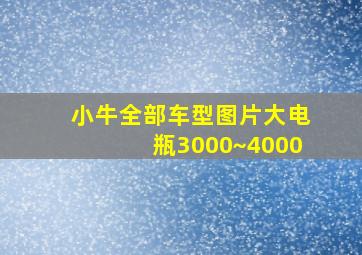 小牛全部车型图片大电瓶3000~4000