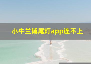 小牛兰博尾灯app连不上