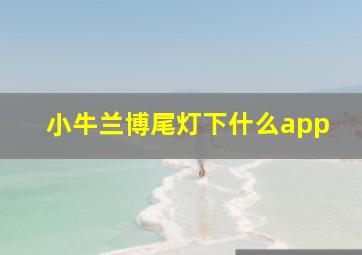 小牛兰博尾灯下什么app