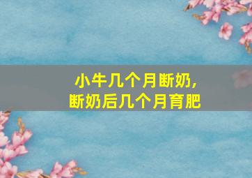 小牛几个月断奶,断奶后几个月育肥