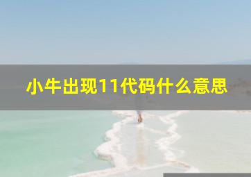 小牛出现11代码什么意思