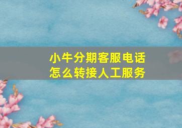 小牛分期客服电话怎么转接人工服务