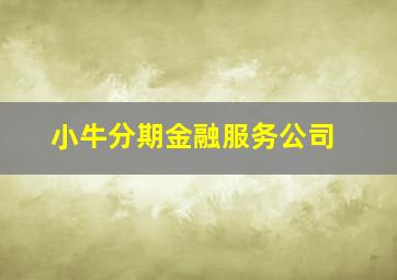 小牛分期金融服务公司