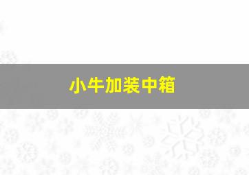 小牛加装中箱