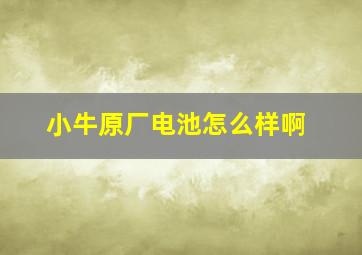 小牛原厂电池怎么样啊