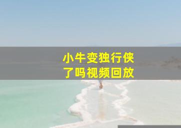 小牛变独行侠了吗视频回放