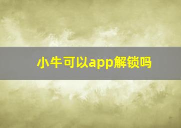 小牛可以app解锁吗