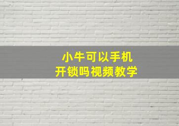 小牛可以手机开锁吗视频教学