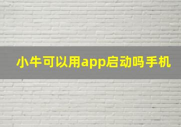 小牛可以用app启动吗手机