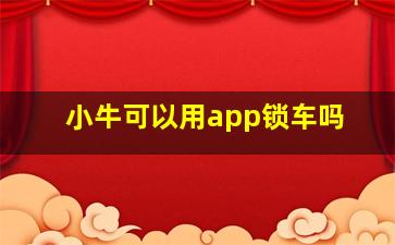 小牛可以用app锁车吗