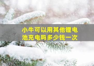 小牛可以用其他锂电池充电吗多少钱一次