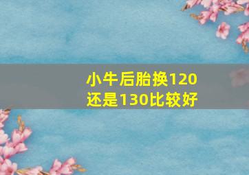 小牛后胎换120还是130比较好