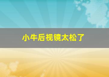 小牛后视镜太松了