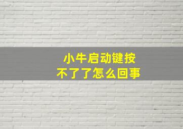 小牛启动键按不了了怎么回事