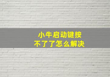 小牛启动键按不了了怎么解决