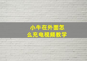 小牛在外面怎么充电视频教学