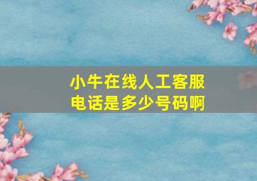 小牛在线人工客服电话是多少号码啊