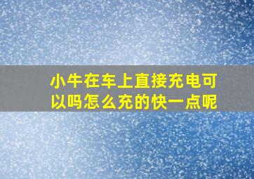 小牛在车上直接充电可以吗怎么充的快一点呢