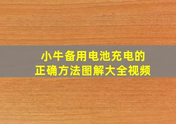 小牛备用电池充电的正确方法图解大全视频