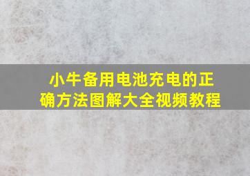 小牛备用电池充电的正确方法图解大全视频教程