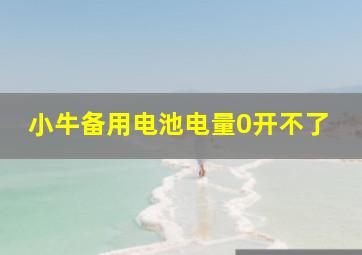 小牛备用电池电量0开不了