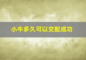 小牛多久可以交配成功