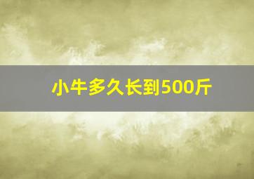 小牛多久长到500斤