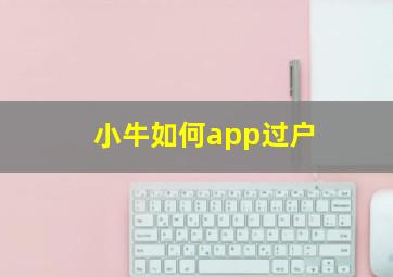 小牛如何app过户