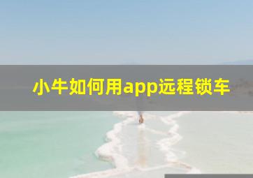 小牛如何用app远程锁车