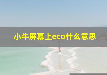 小牛屏幕上eco什么意思