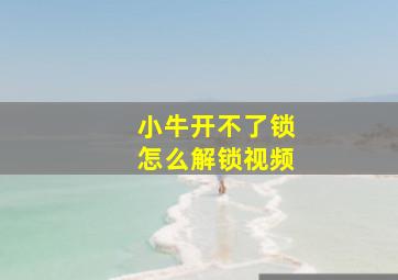 小牛开不了锁怎么解锁视频