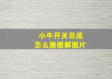 小牛开关总成怎么换图解图片