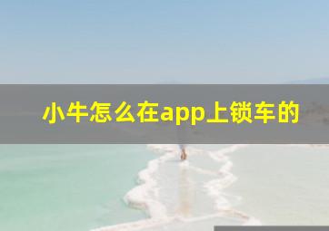 小牛怎么在app上锁车的