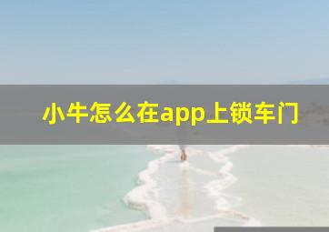 小牛怎么在app上锁车门