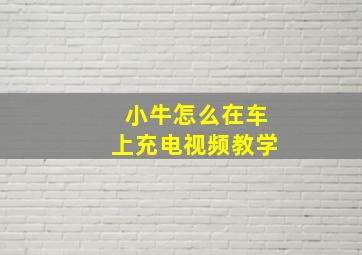 小牛怎么在车上充电视频教学